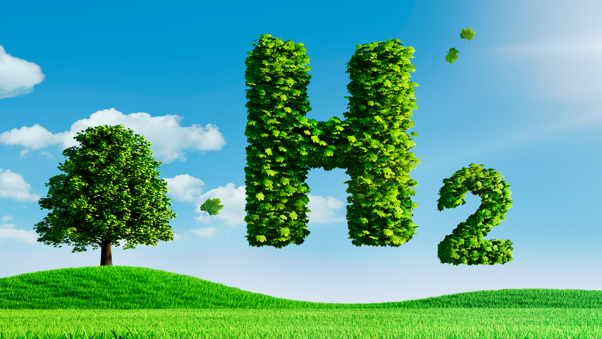 Green-hydrogen_infra.jpg